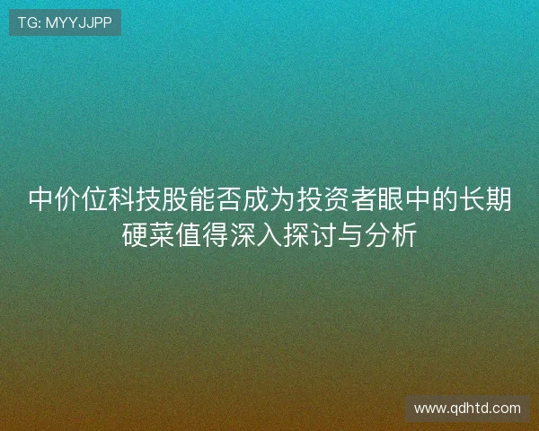 中价位科技股能否成为投资者眼中的长期硬菜值得深入探讨与分析